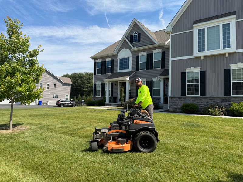 Lawn Maintenance