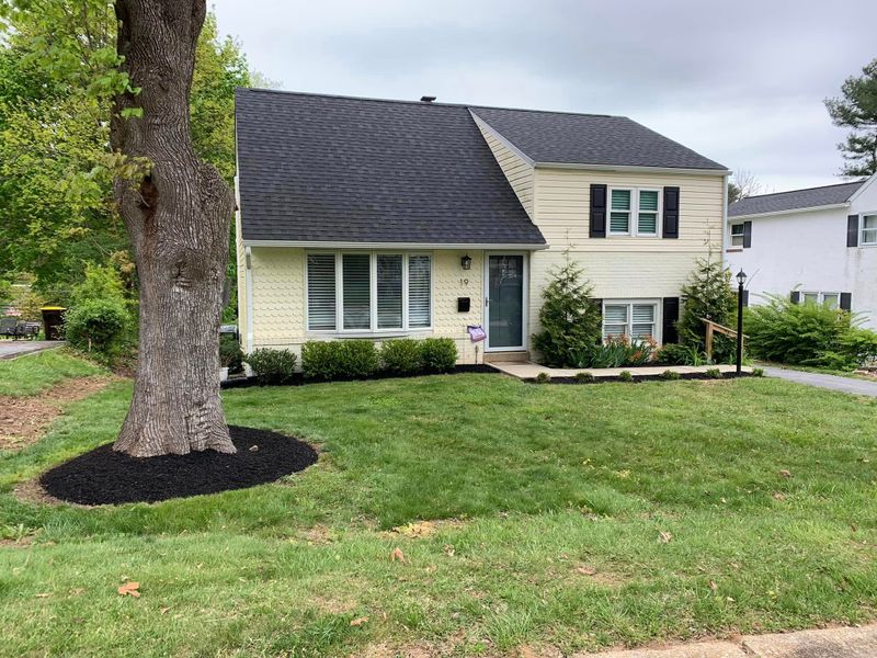 Tree & Shrub Care