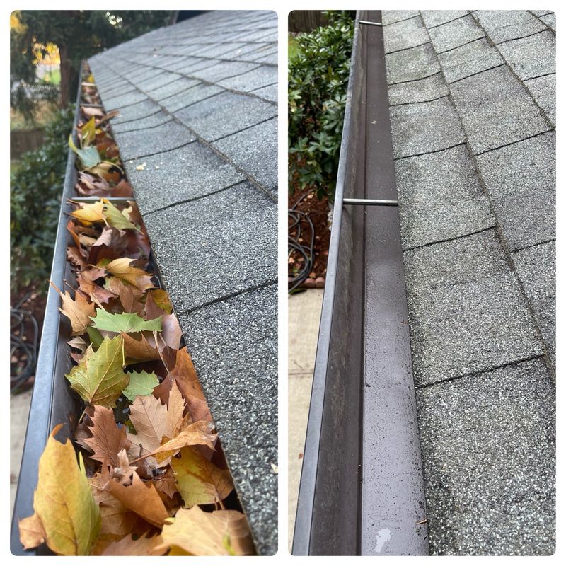 Gutter Cleaning