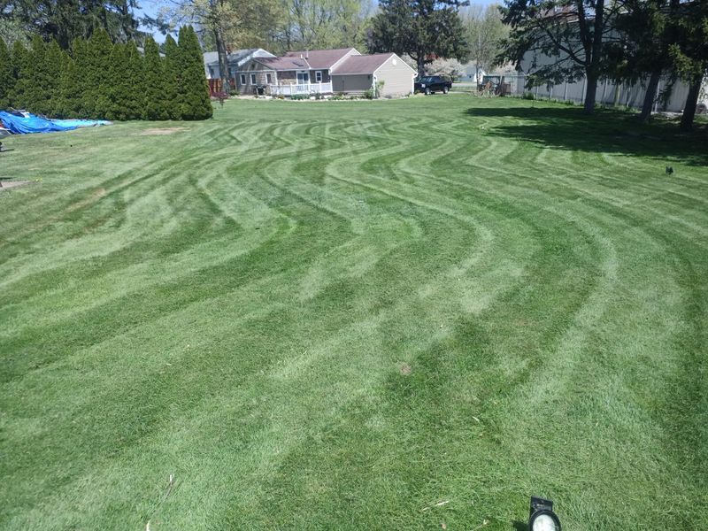 Lawn Maintenance