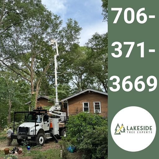 Tree Trimming
