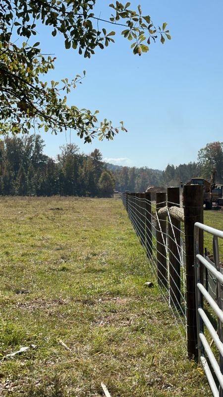 Fence