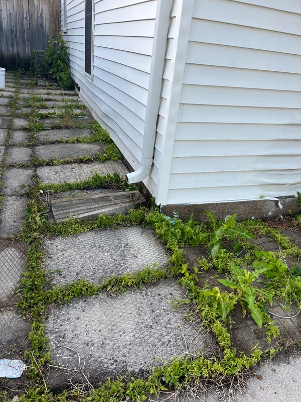 Before and After