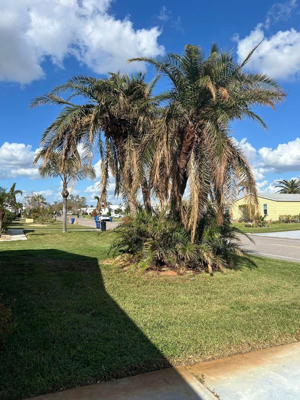 Landscaping