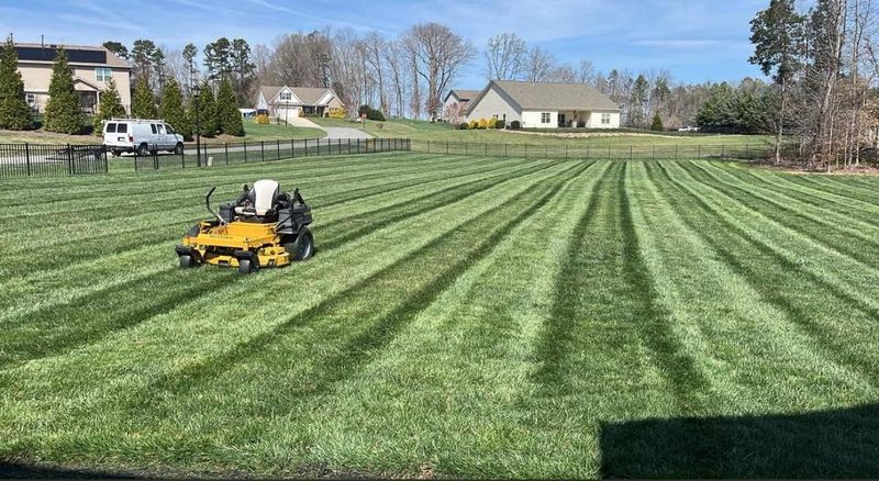 Weed Control