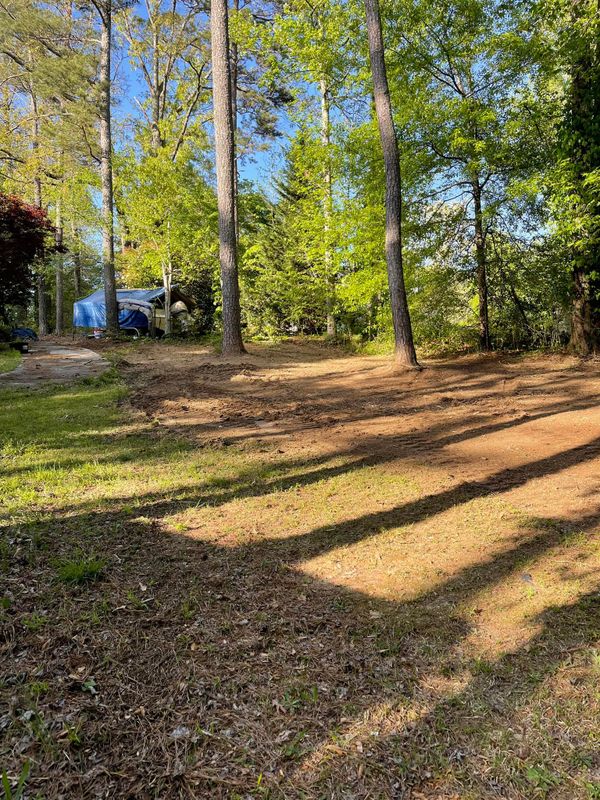 Forestry Mulching gallery