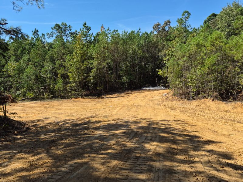 Land Clearing