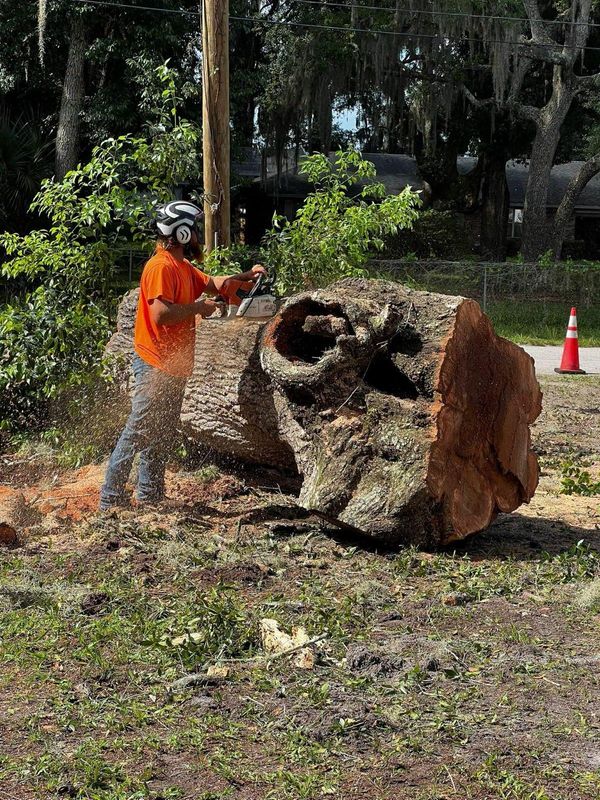 Stump Removal