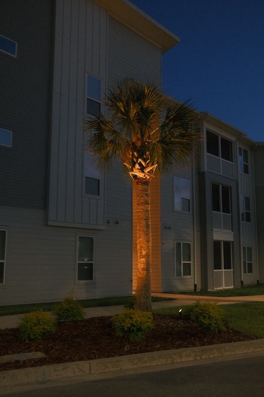 Outdoor Lighting 