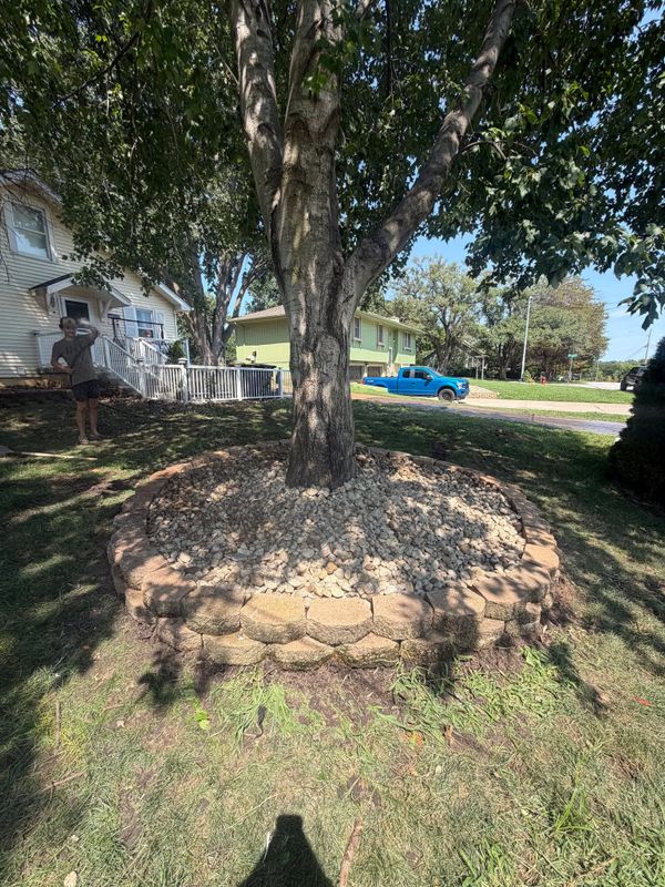 Landscape transformation in Blue Springs, MO