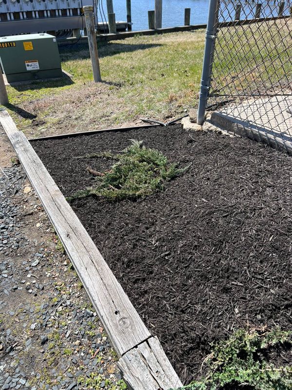 Lawn Maintenance
