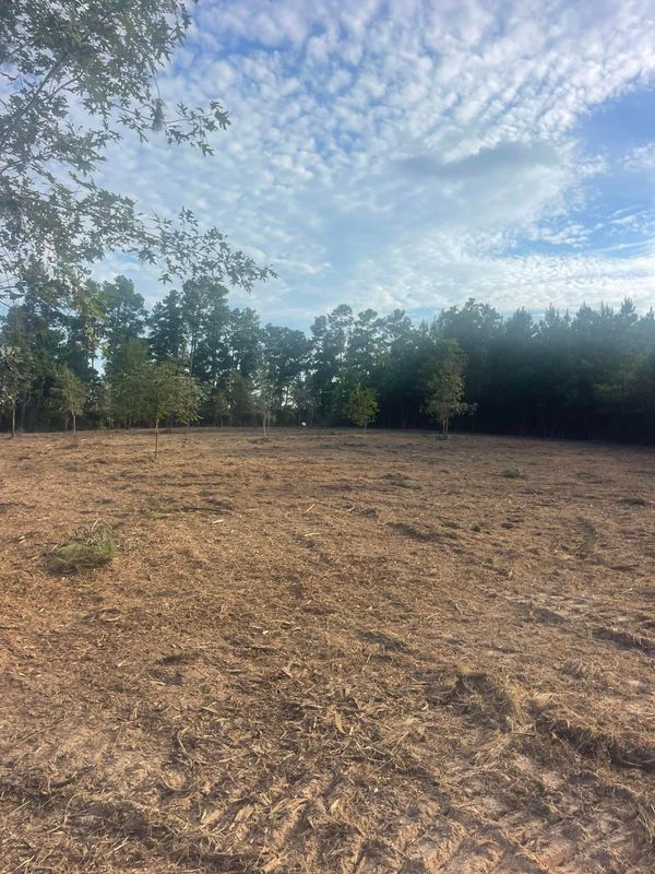 Land Clearing gallery