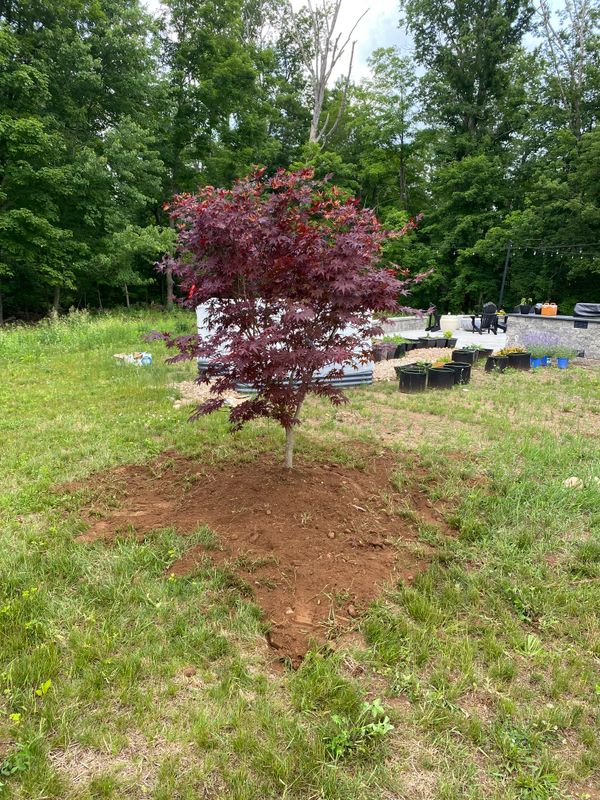 Plant & Shrub Installations