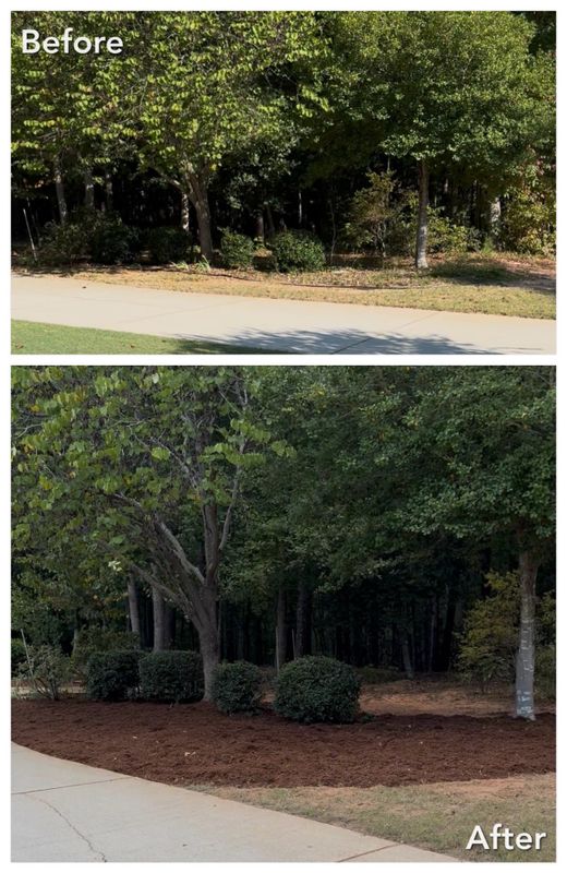 Small - Medium Tree Removal and Trimming
