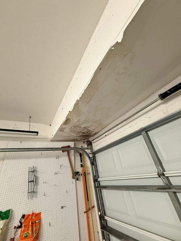 Mold Remediation