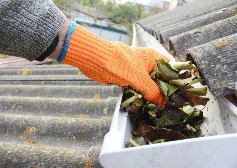 Gutter Cleanout