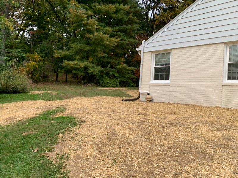 Outdoor French Drains