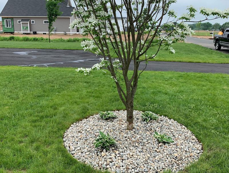 Hardscaping gallery