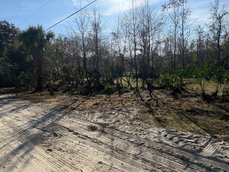 Land Clearing