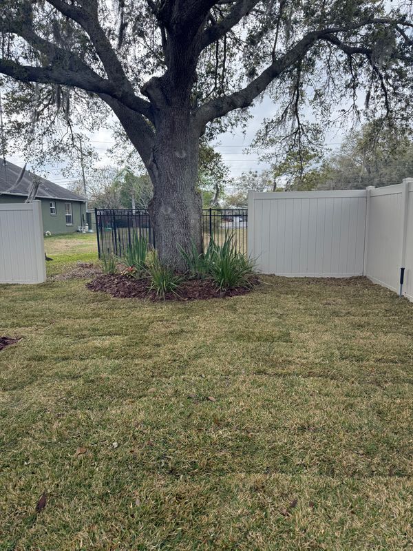 Tree Pruning