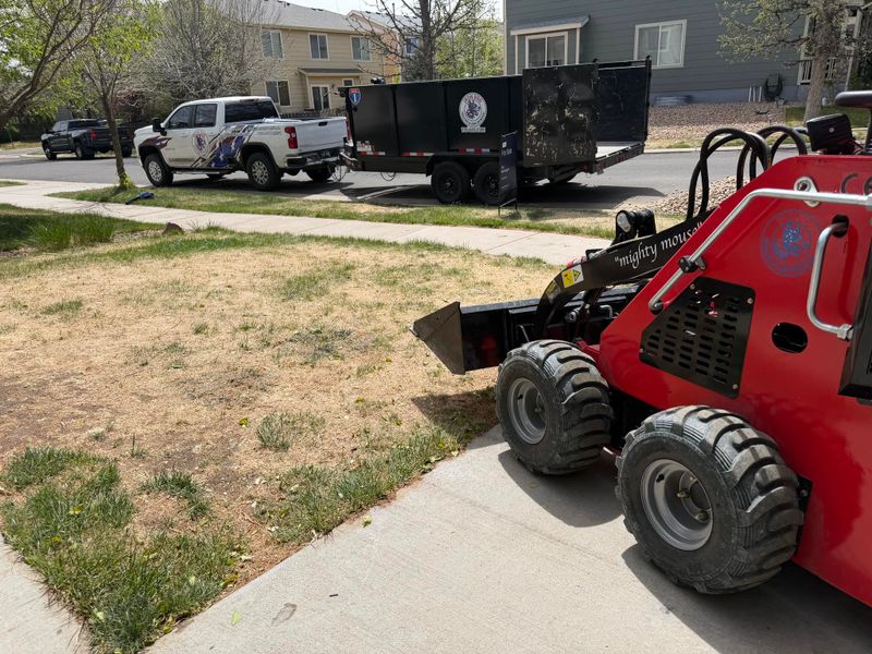 Construction Debris Removal