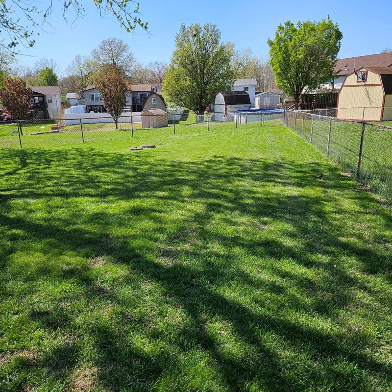 Residential Lawn Care