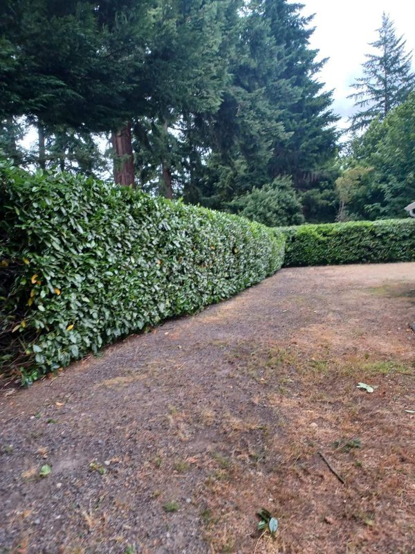 Landscape Design