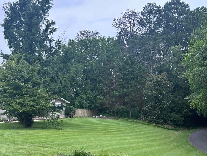 Tree & Shrub Care