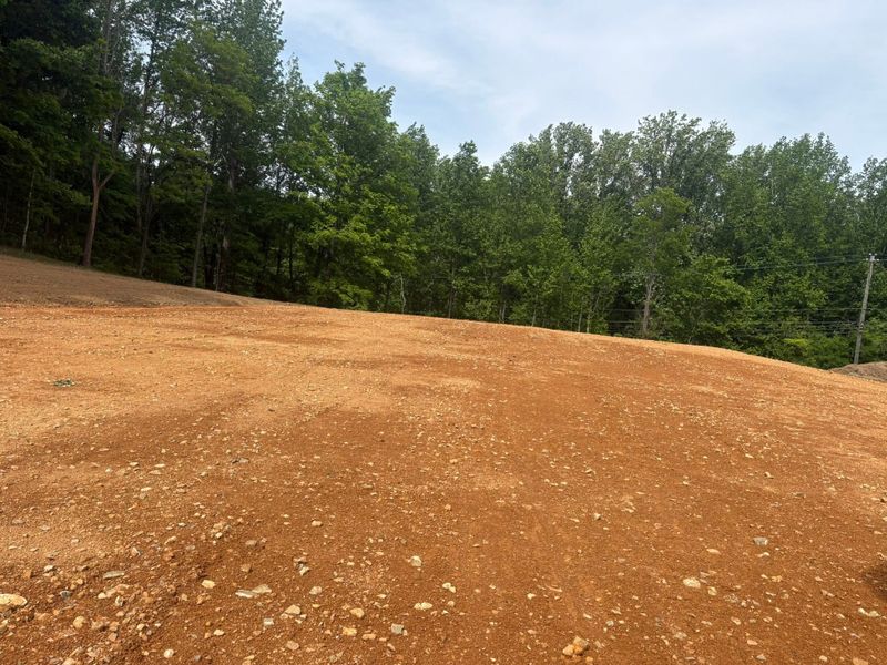 Land Clearing