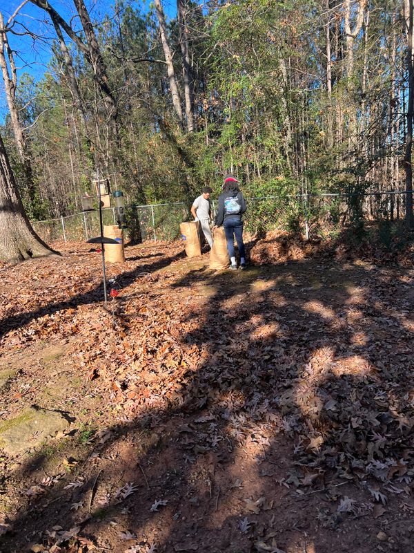 Leaf Raking & Bagging