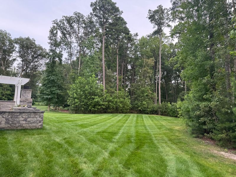 Lawn Mowing & Maintenance