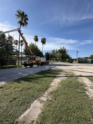 Tree Trimming