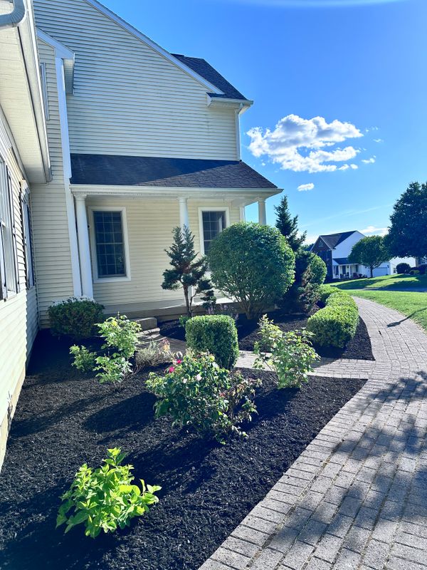 Mulch Installation