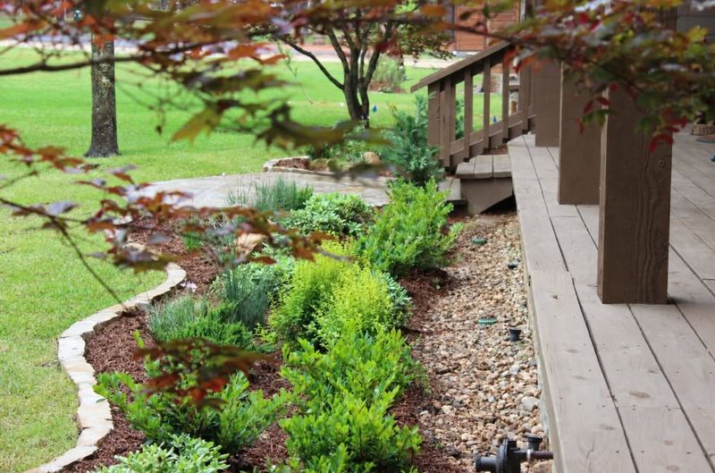 Landscape Design & Installation