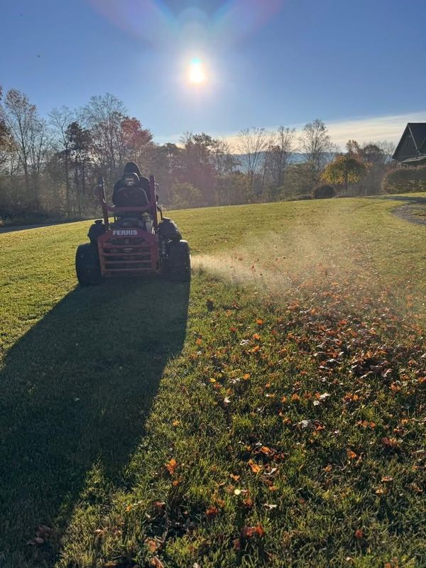 Weekly Lawn Maintenance