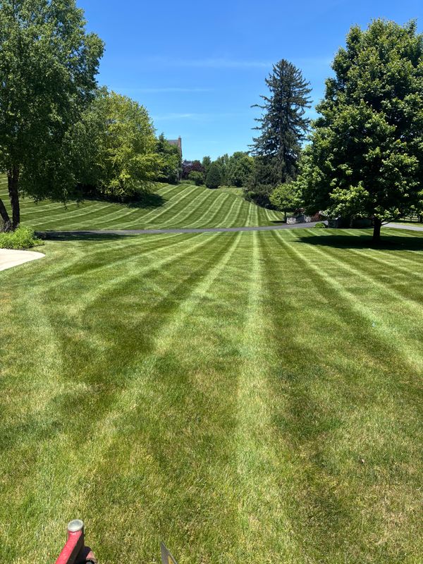 Lawn Mowing