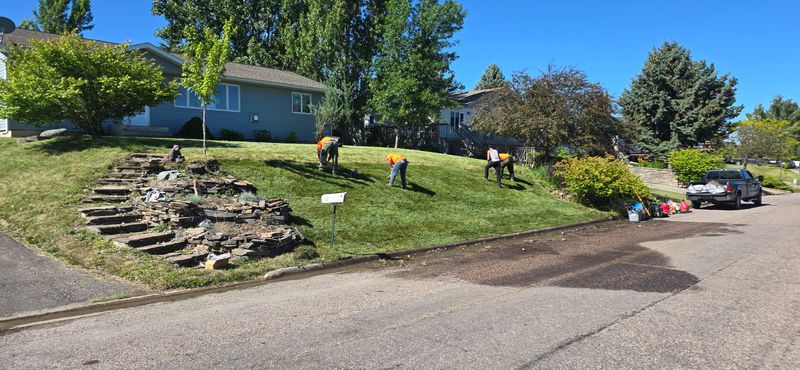 Landscape Installation