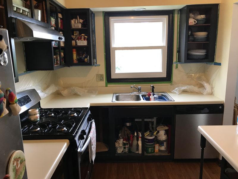 Kitchen Repainting
