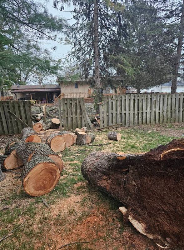 Tree Removal