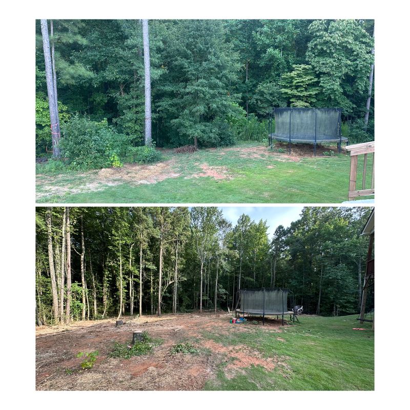 Forestry Mulching and Land Clearing