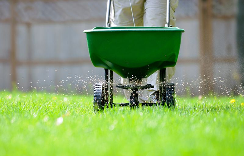 Fertilization Services