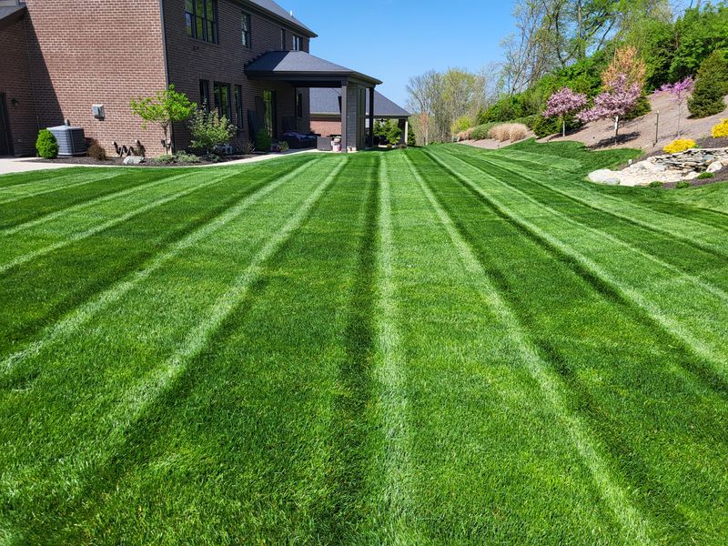 Landscaping