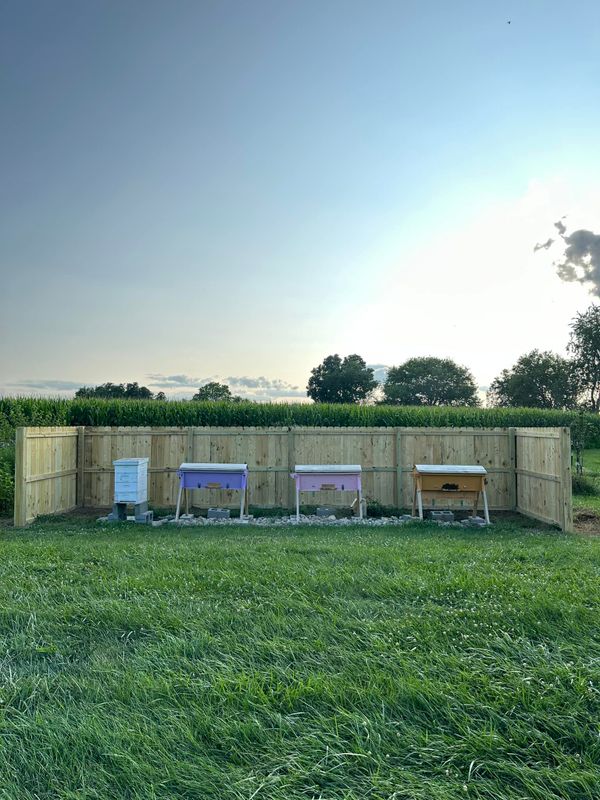 Fence Installation