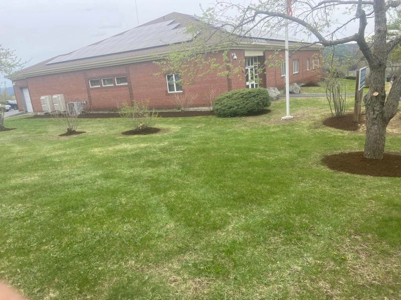 Landscaping 