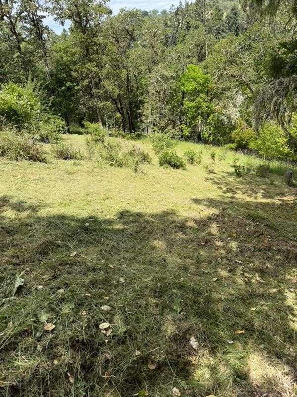 Land Clearing