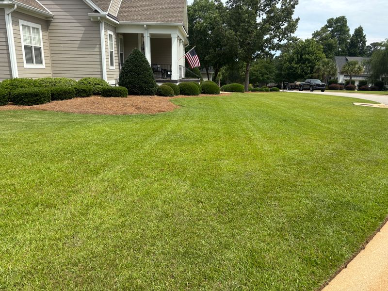 Mulch Installation