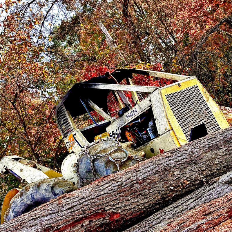 Logging