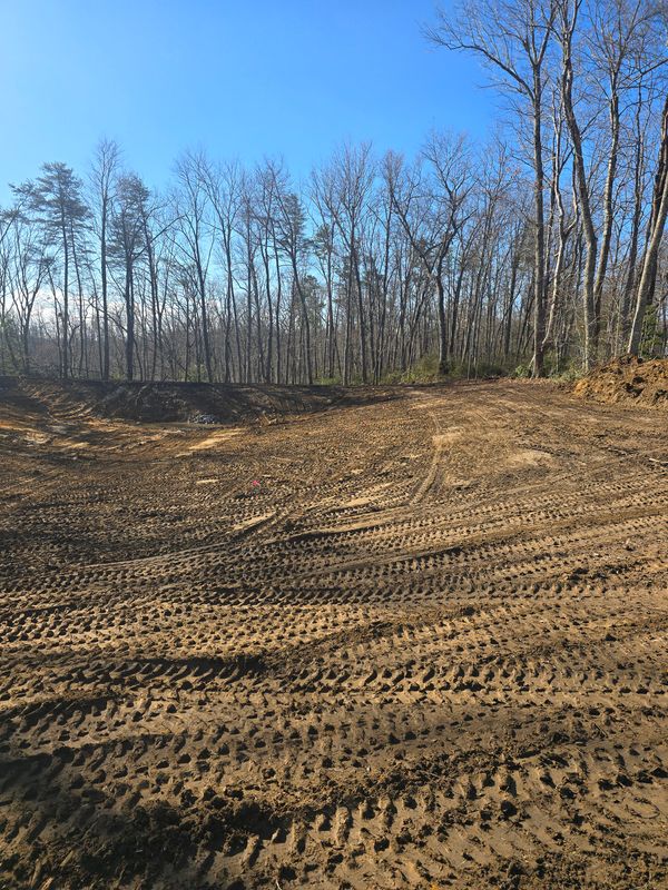Residential Excavation