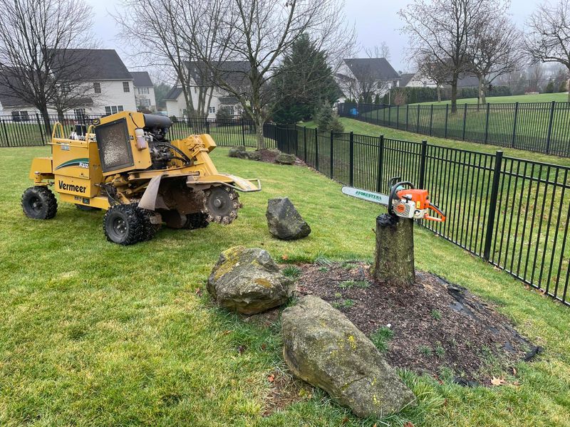 Stump Grinding