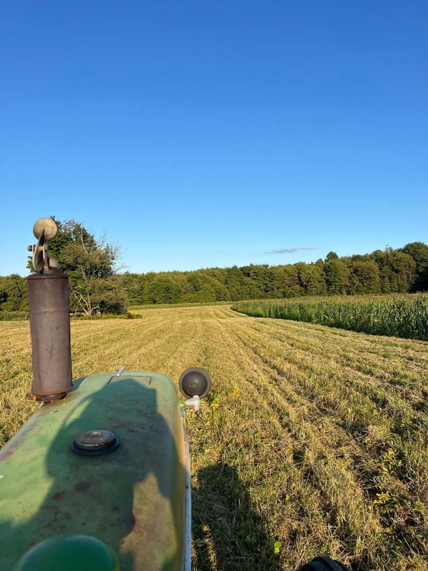Site Preparation